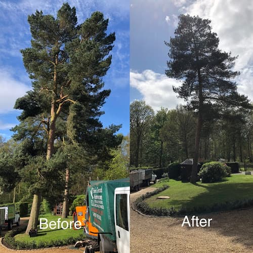 Business listing image