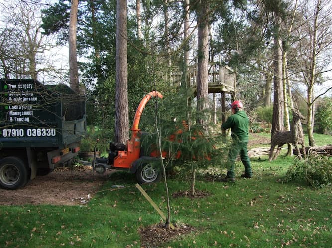 Business listing image