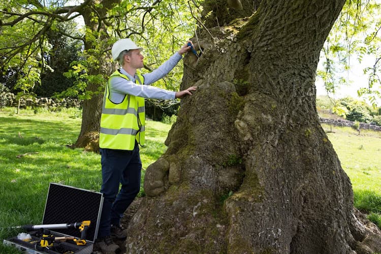 Business listing image