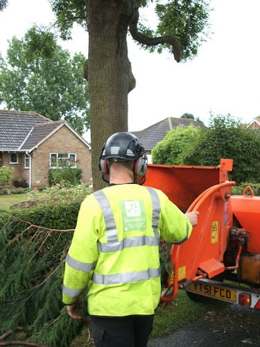 Business listing image