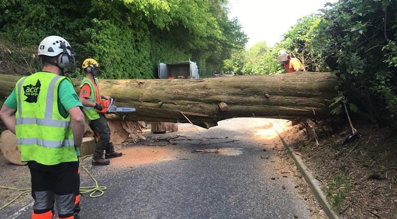 Business listing image