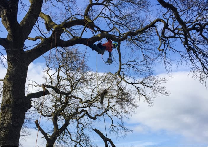 Business listing image