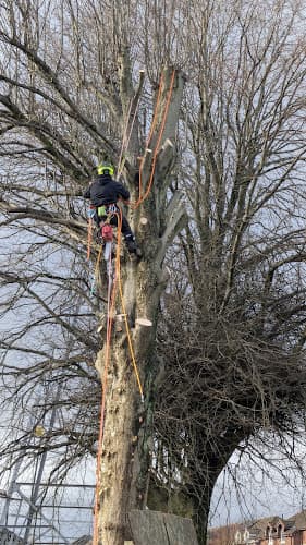 Business listing image