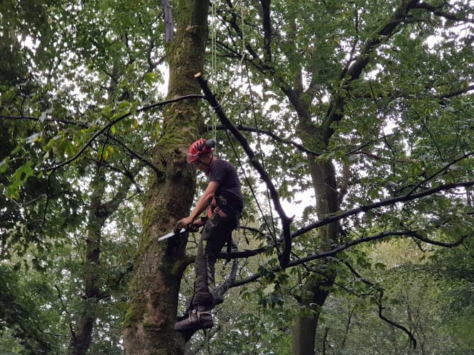 Business listing image