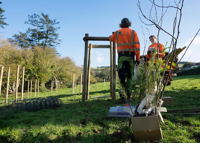 Business listing image