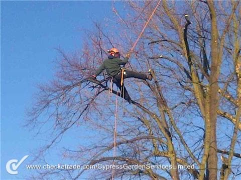 Business listing image