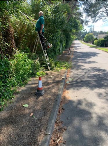 Business listing image