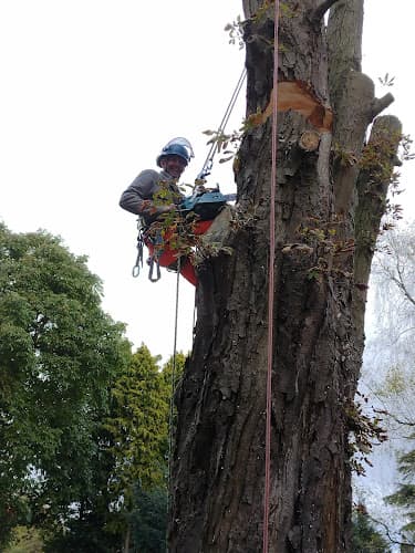 Business listing image