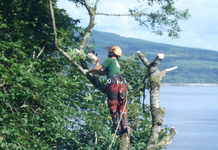 Business listing image