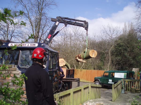 Business listing image