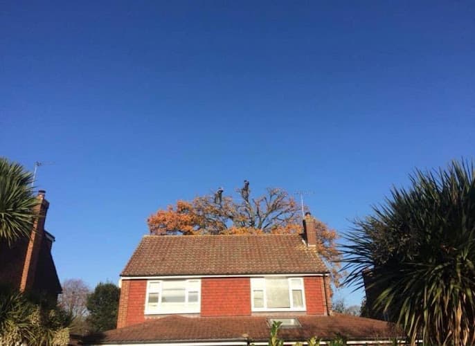 Business listing image