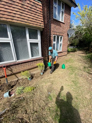 Business listing image