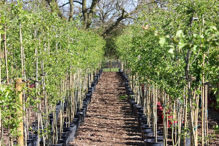 Business listing image