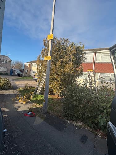 Business listing image