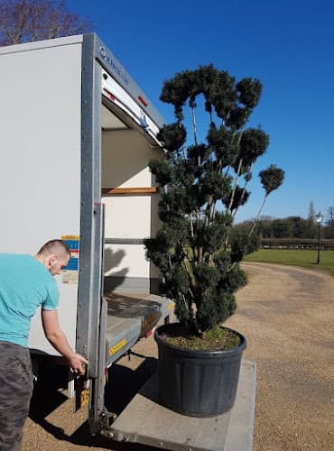 Business listing image