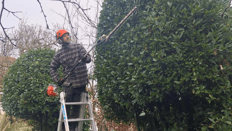 Business listing image