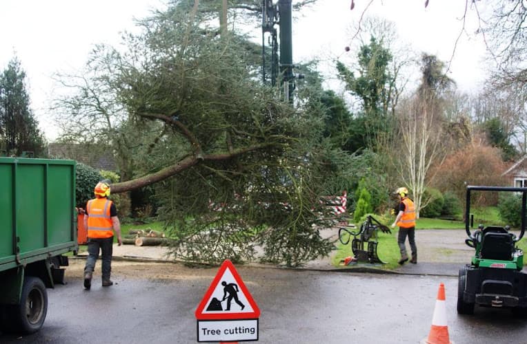 Business listing image