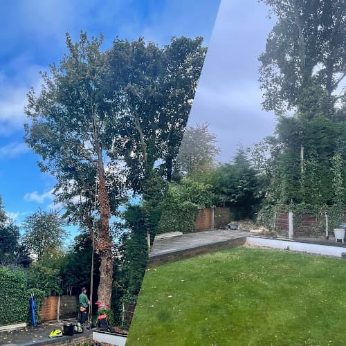 Business listing image