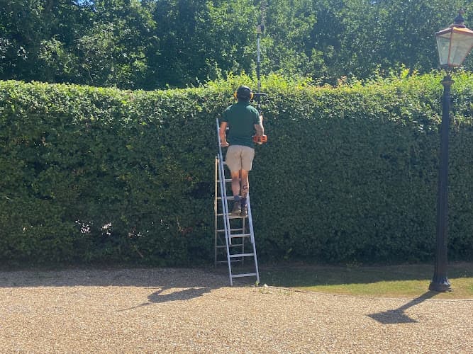 Business listing image