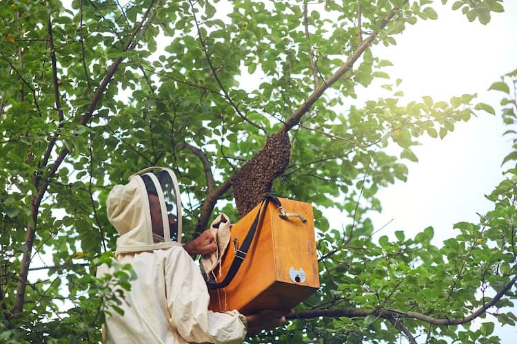 Business listing image