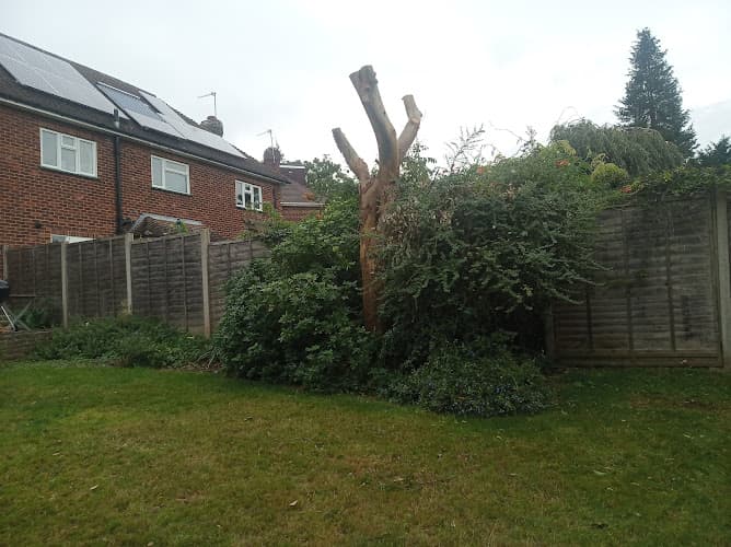 Business listing image