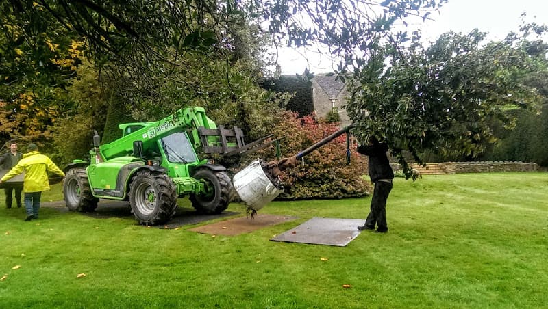 Business listing image