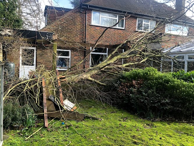 Business listing image