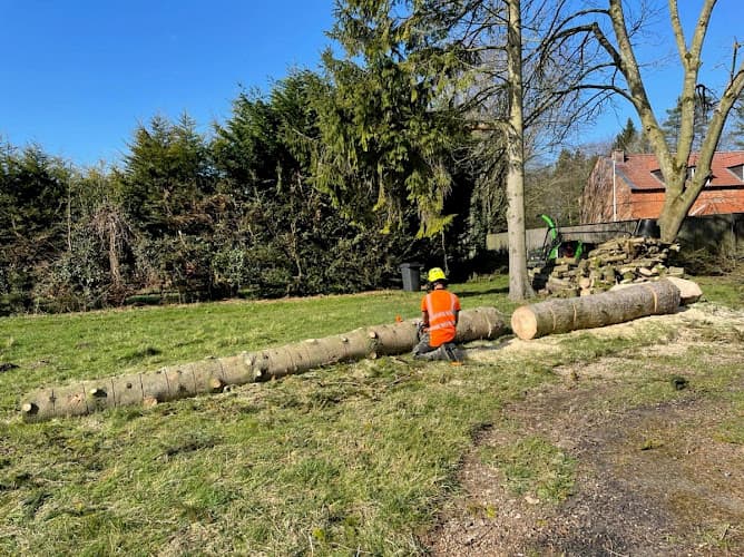 Business listing image