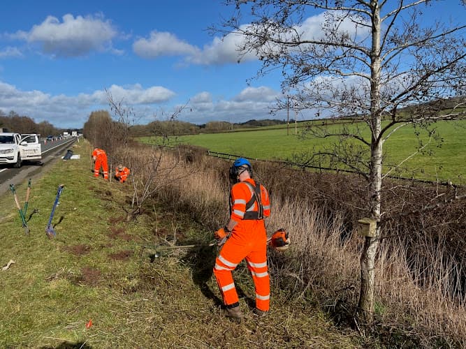 Business listing image