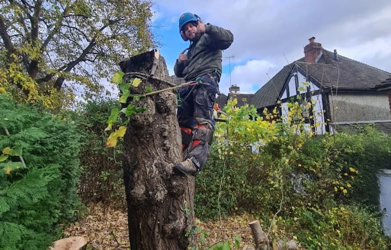 Business listing image