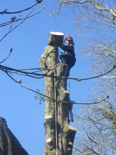 Business listing image