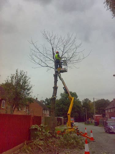 Business listing image