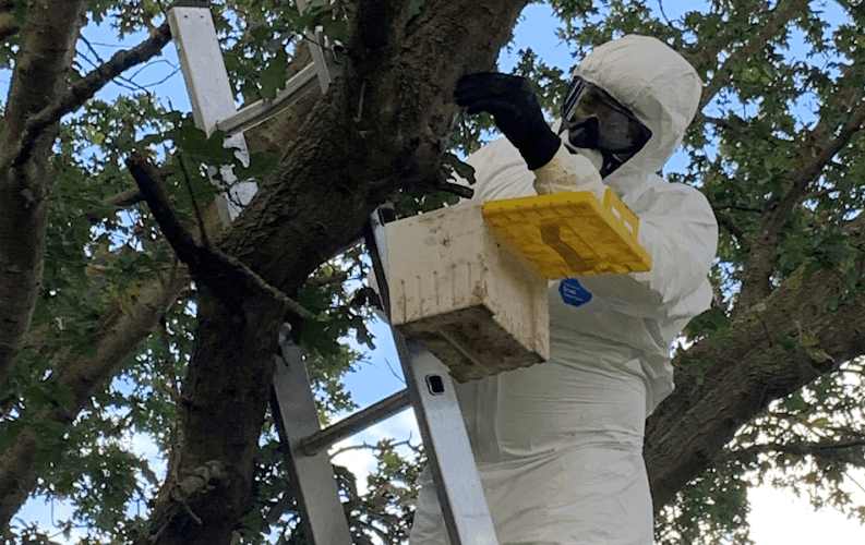 Business listing image