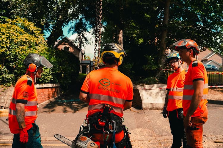 Business listing image