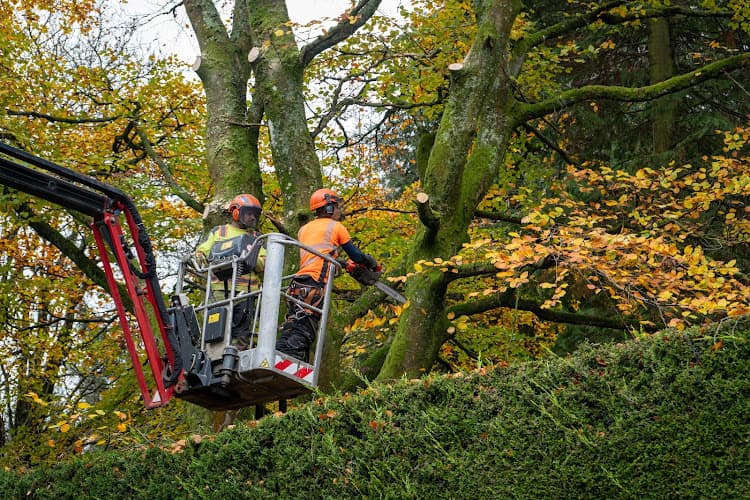 Business listing image