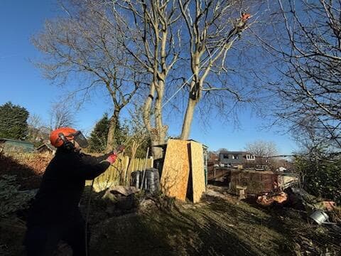 Business listing image