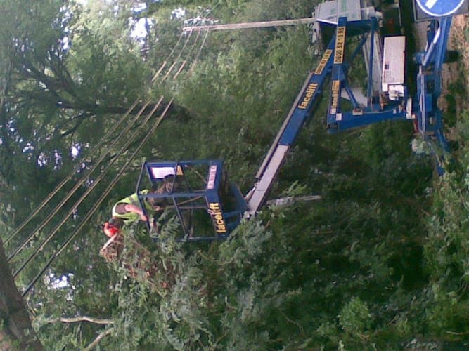 Business listing image