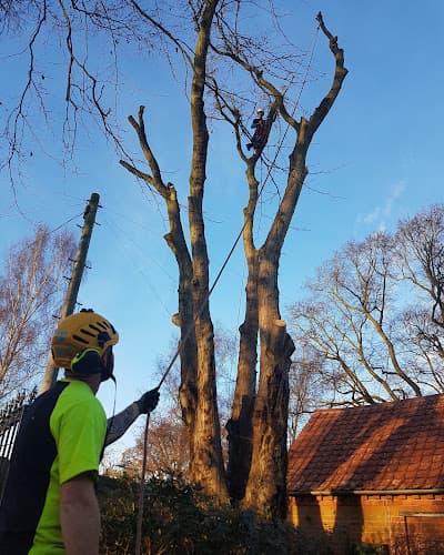 Business listing image