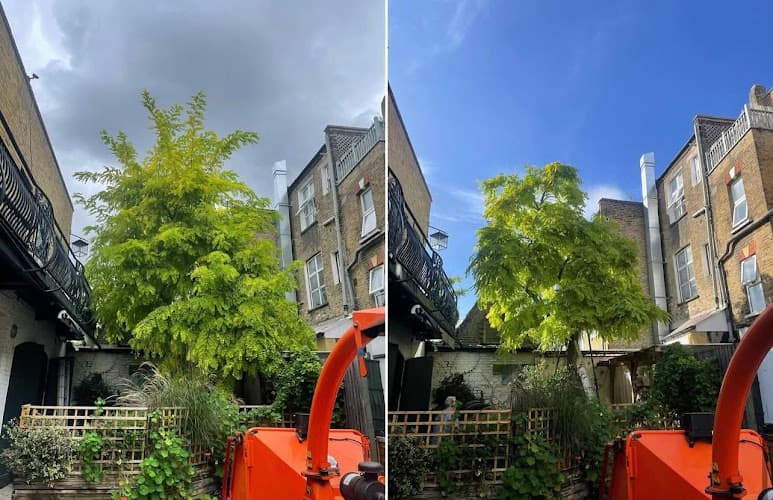 Business listing image