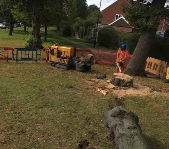 Business listing image