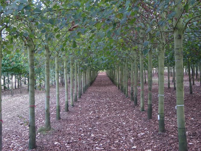 Business listing image