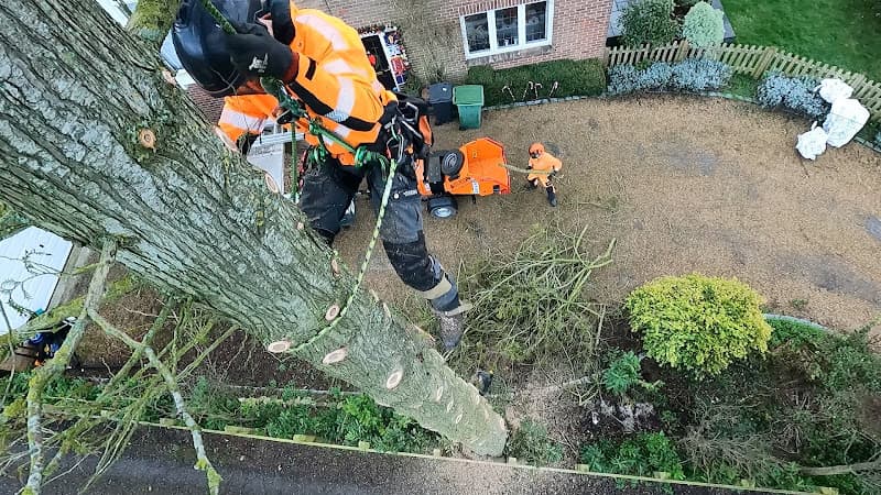 Business listing image