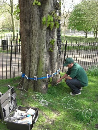 Business listing image