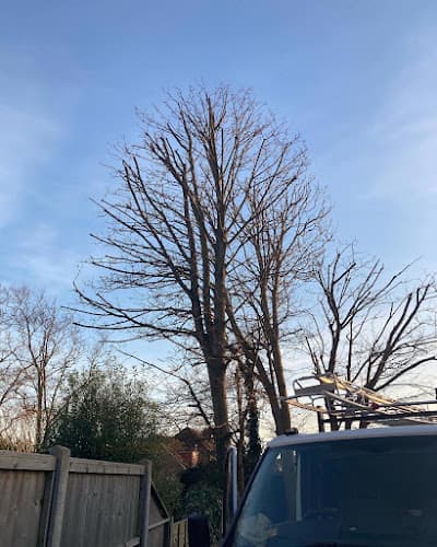 Business listing image