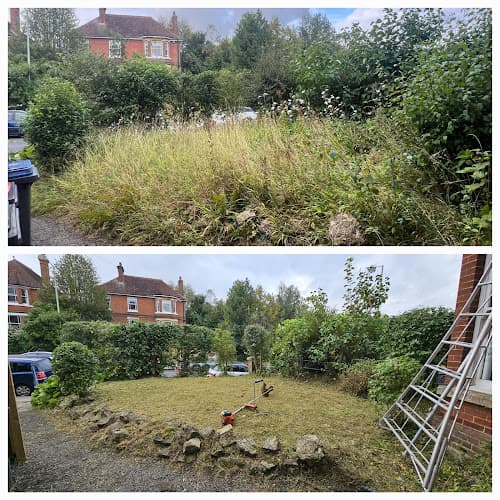 Business listing image