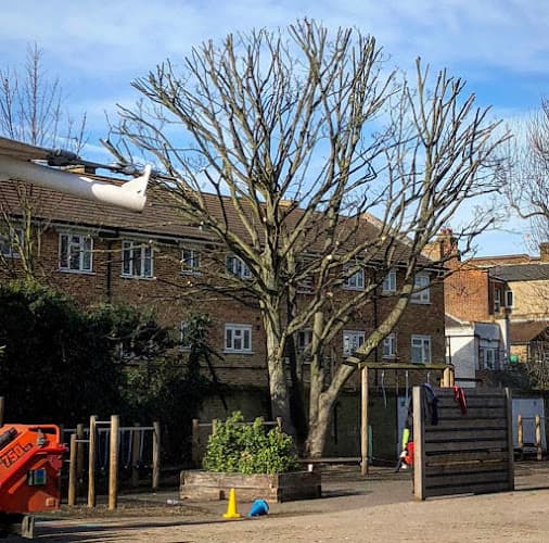 Business listing image