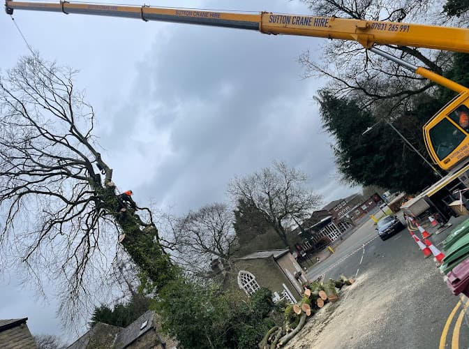 Business listing image