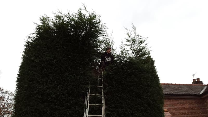 Business listing image