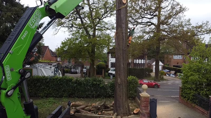 Business listing image