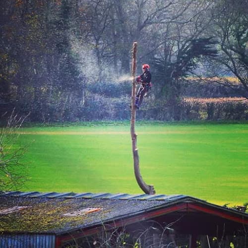 Business listing image